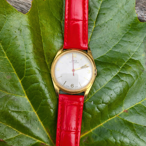 Discover the Timeless Appeal of the Vintage Oris Anti Shock Watch Watch Harbor